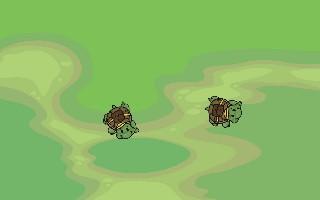 Turtle Trails 2