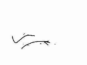 cat blinking