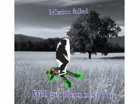 Misson failed 