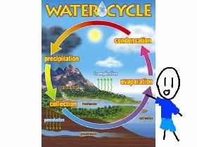The water cycle