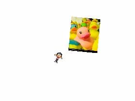 Duck scare - copy - copy - copy