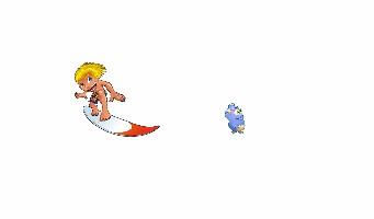 Surfing on land