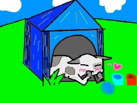 diddy, the talking dog