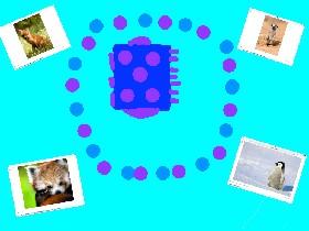 Fidgit Animals