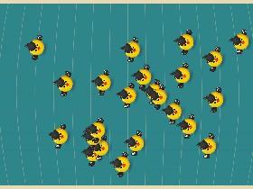 Bird Mayhem 1