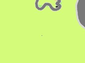 Race Track Maniac 1