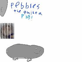 pebbles