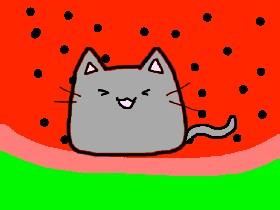 Watermelon cat2