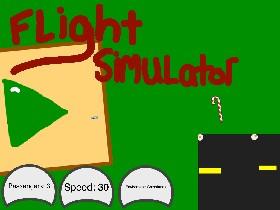 Flight Simulator 1 1