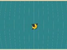 ninja bird