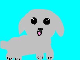 Repeating Puppy