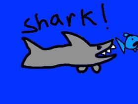 Shark! 2