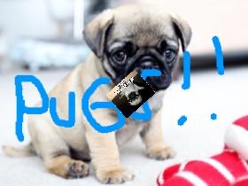 pug clicker bounce 1