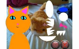 cat customizer