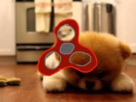 Cute Puppy Fidget spinner