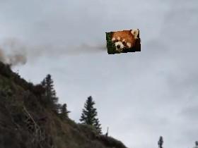 survive