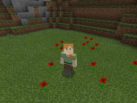 my first minecraft