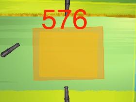 Duck Survival22