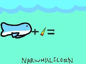 Narwhalicorn 1