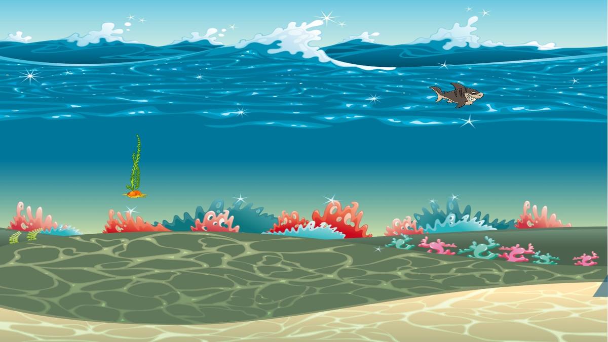 Ocean Ecological Pyramid