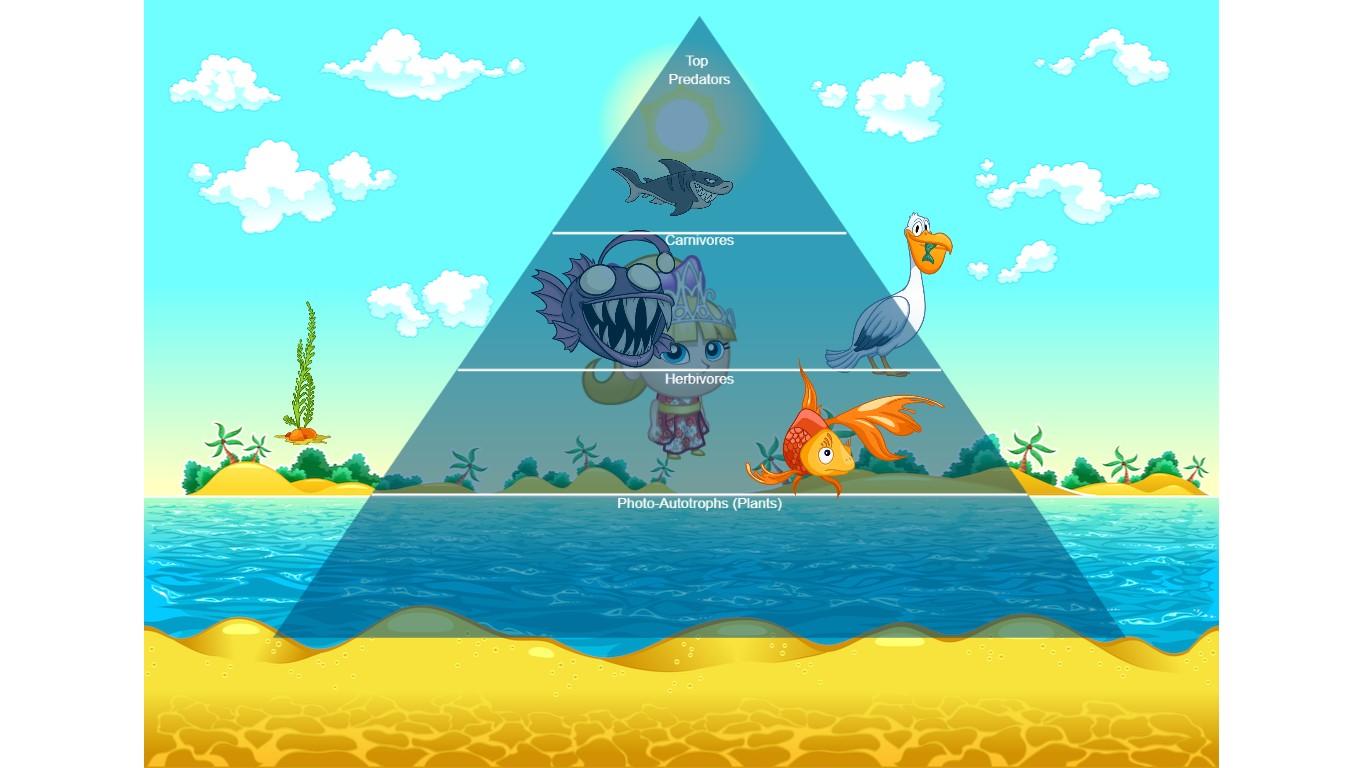 Ocean Ecological Pyramid