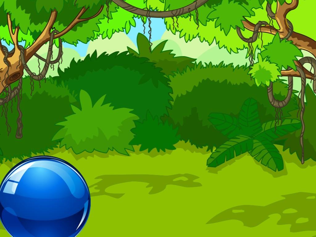einstein&#039;s jungle