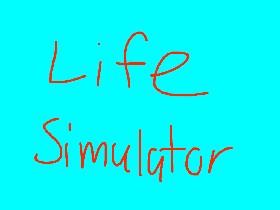 Real Life Simulator
