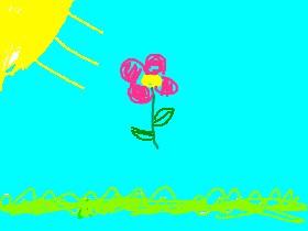 Learn how to draw a flower