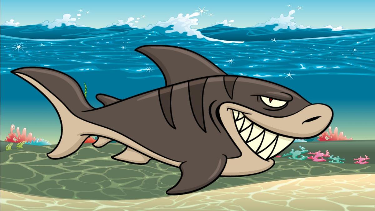 Ocean Ecological Pyramid