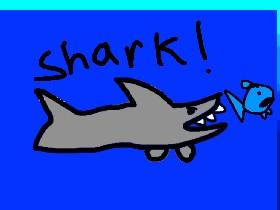 Shark eating fish 1
