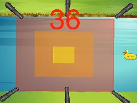 Duck Survival 1