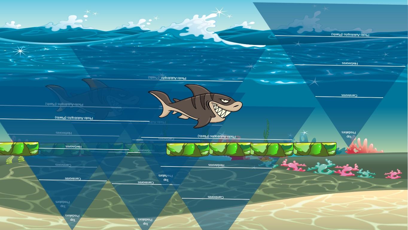 Ocean Ecological Pyramid