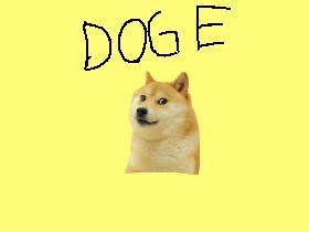 Doge By Looy bubs