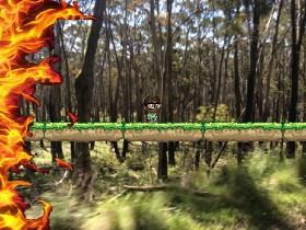 Forest Fire 2.0