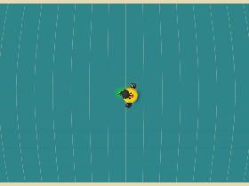 Bird Mayhem 2