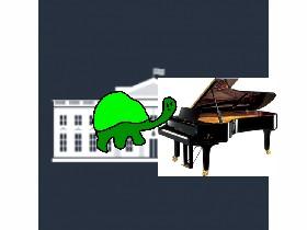 TURTAL PIANO