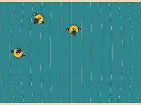 Bird Mayhem 3!!!🐤🐤🐤