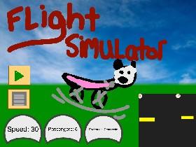 Flight Simulator 1