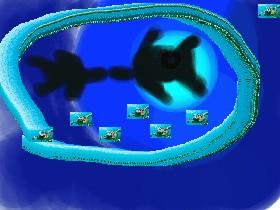 Turtle Spin Draw