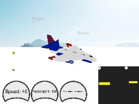 Flight Simulator 1