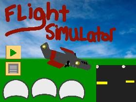Flight Simulator 1