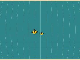Bird Mayhem 1