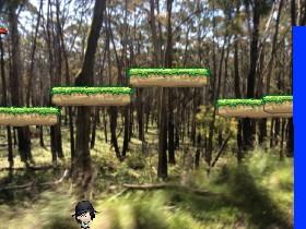 Forest Fire 1 1 2