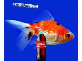 mentos in coke  2 1 1