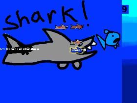 Shark 3 1