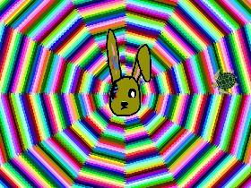 Bunny swirle