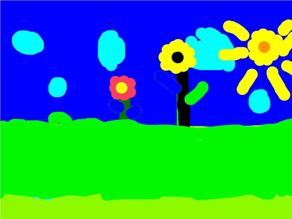 Spin Draw
