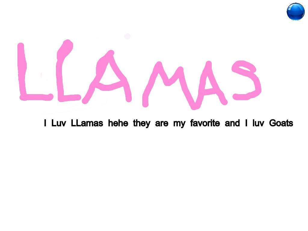 LLama Image On Spin Draw
