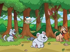 Animal quiz part 2
