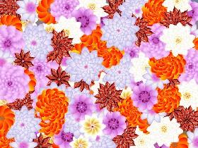 Flower Power 1
